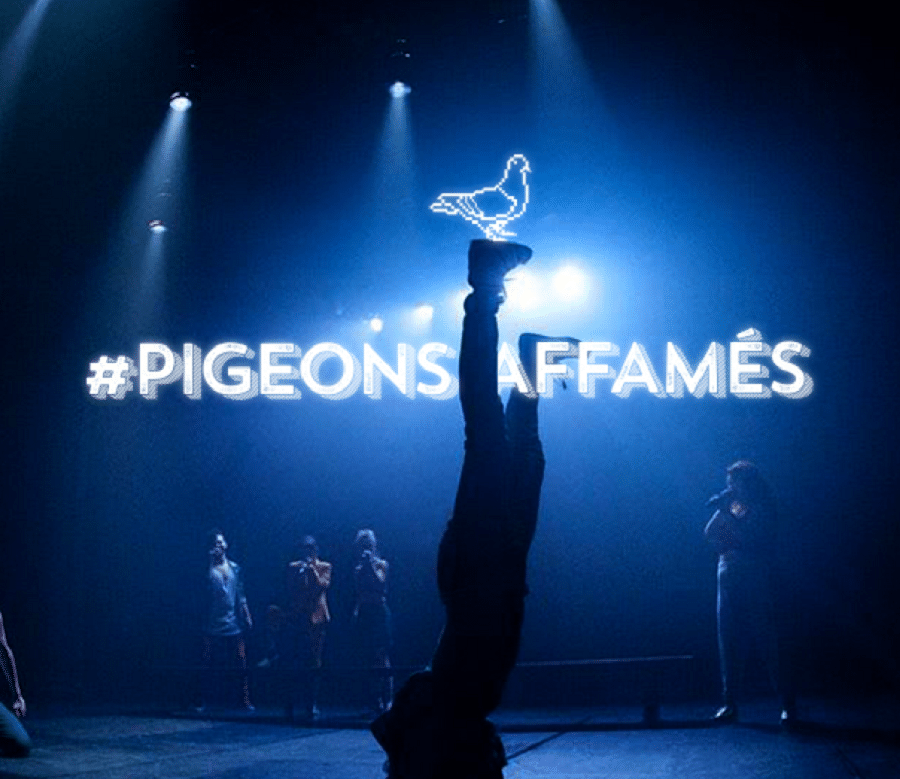 pigeons affames