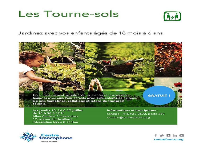 Tourne-sols_juillet_2017